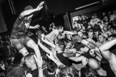 Photo de concert  comeback kid