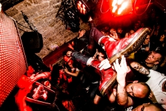 Photo de concert  lionslaw